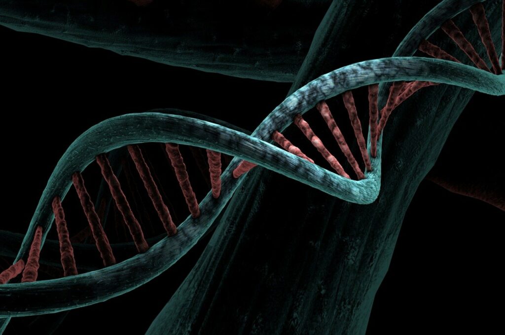 dna, biological, helix-6517209.jpg